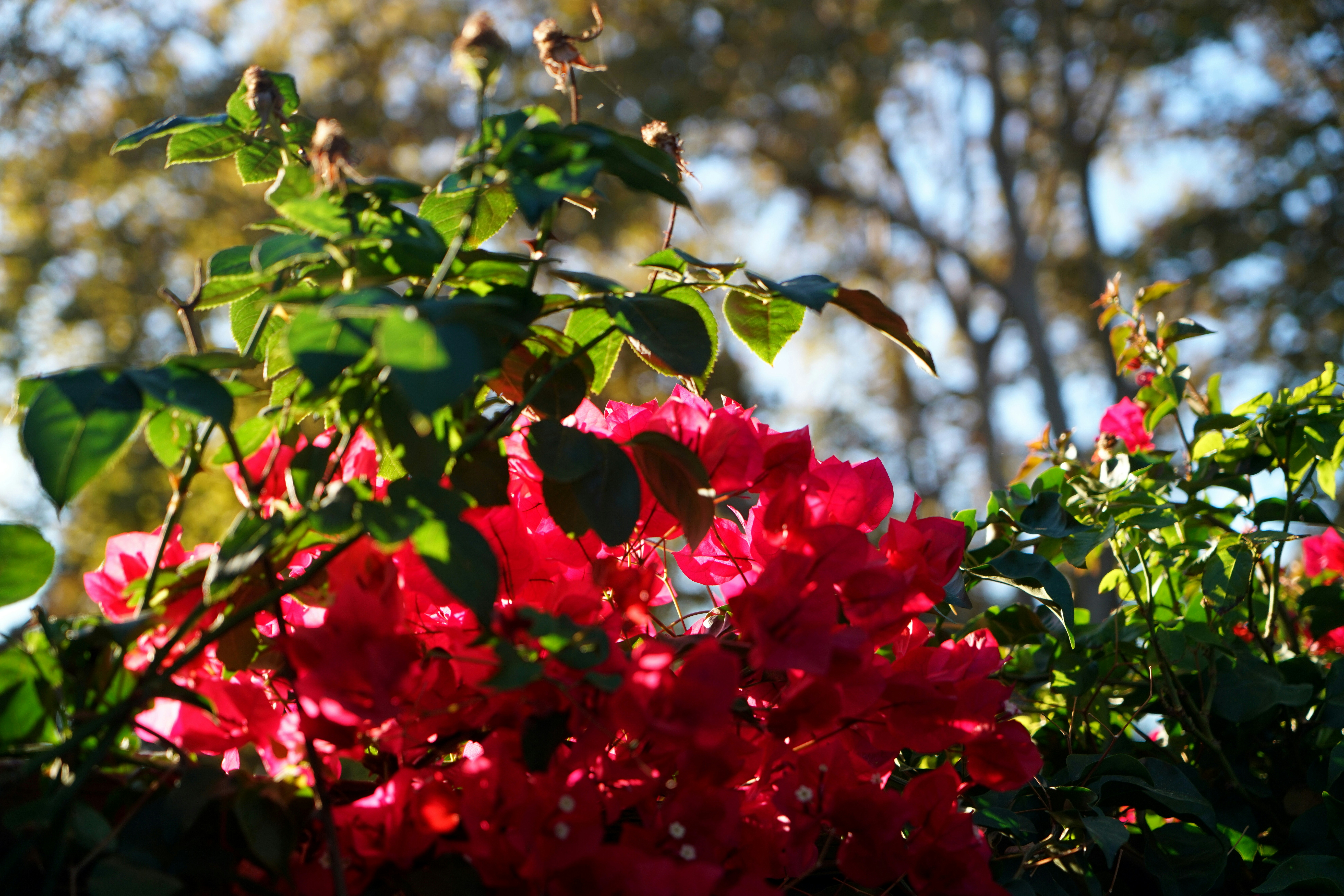 Photo by tim0at0unsplash