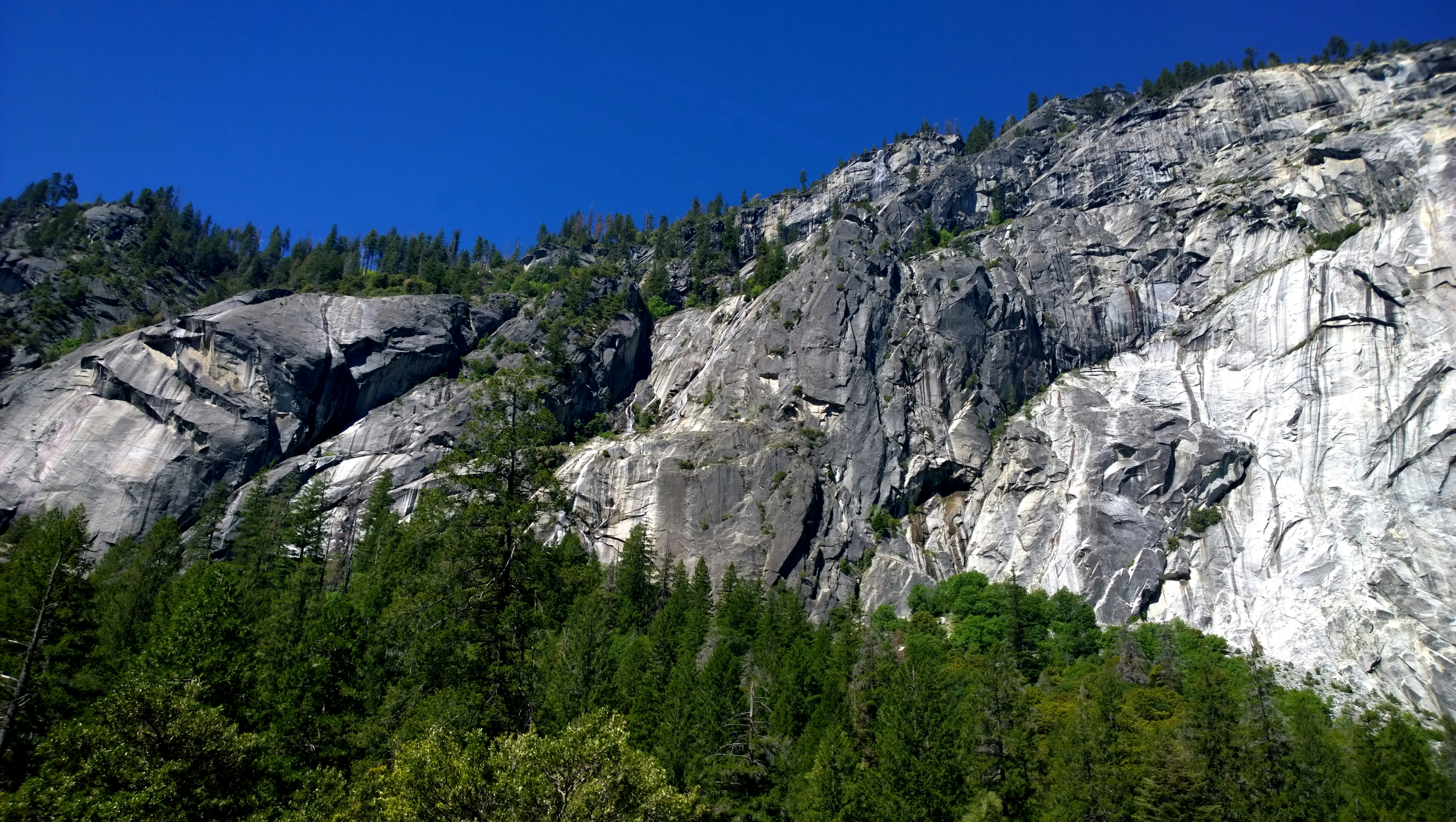 Photo by tim0at0unsplash