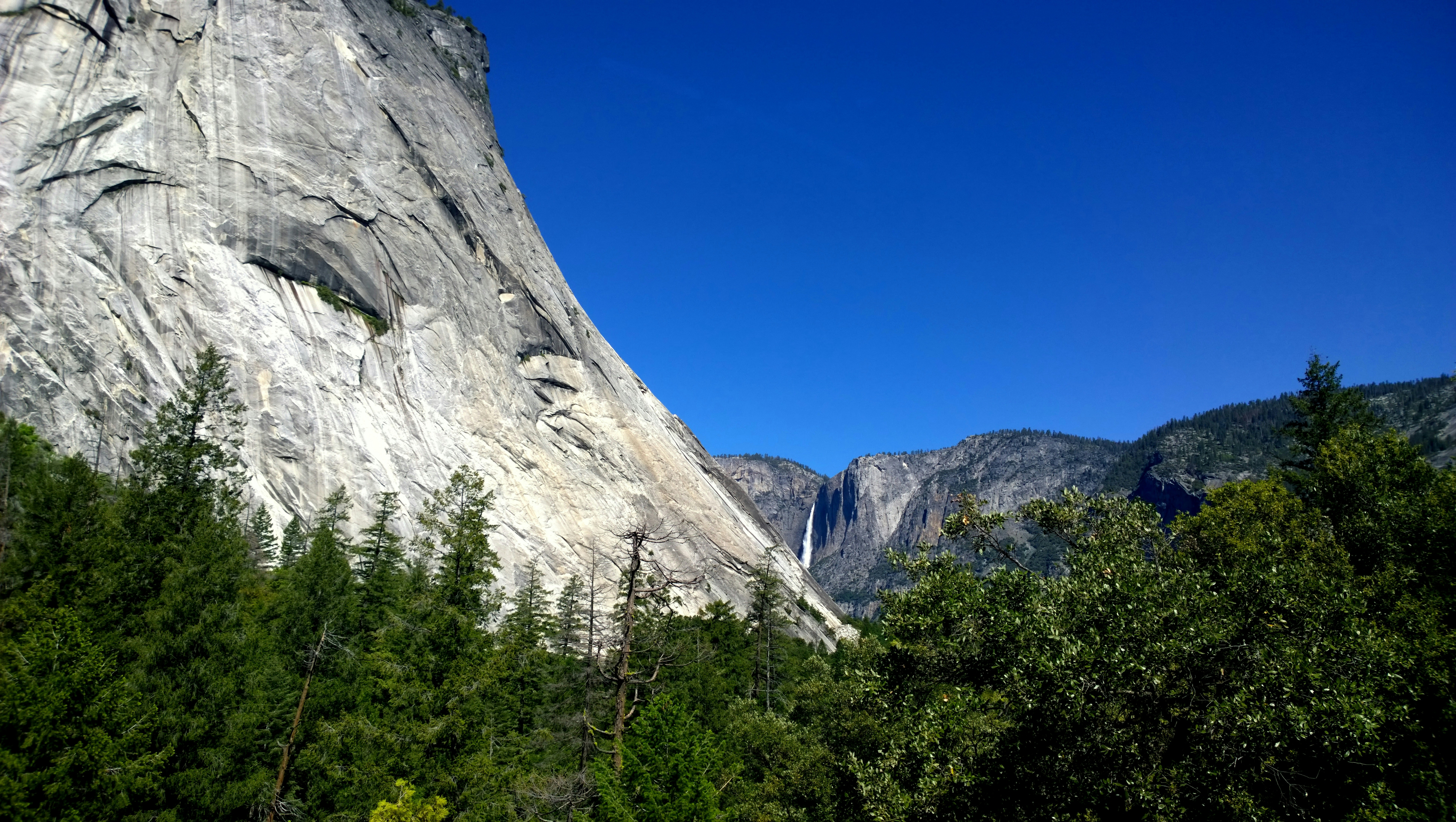 Photo by tim0at0unsplash