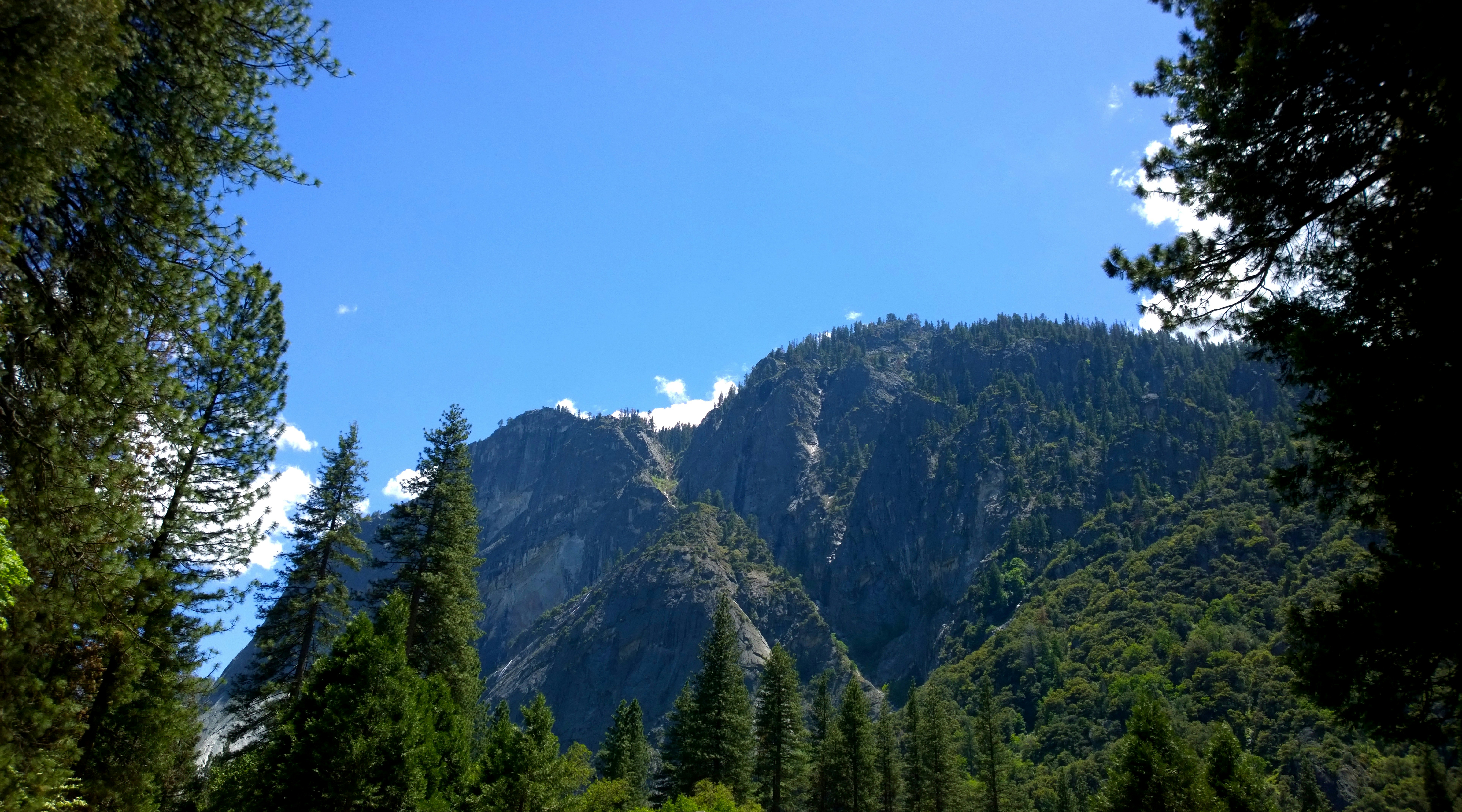 Photo by tim0at0unsplash