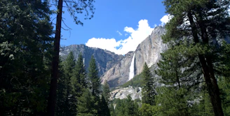 A scenic view of the Puente de Dios waterfall surrounded by lush greenery under a bright sky.