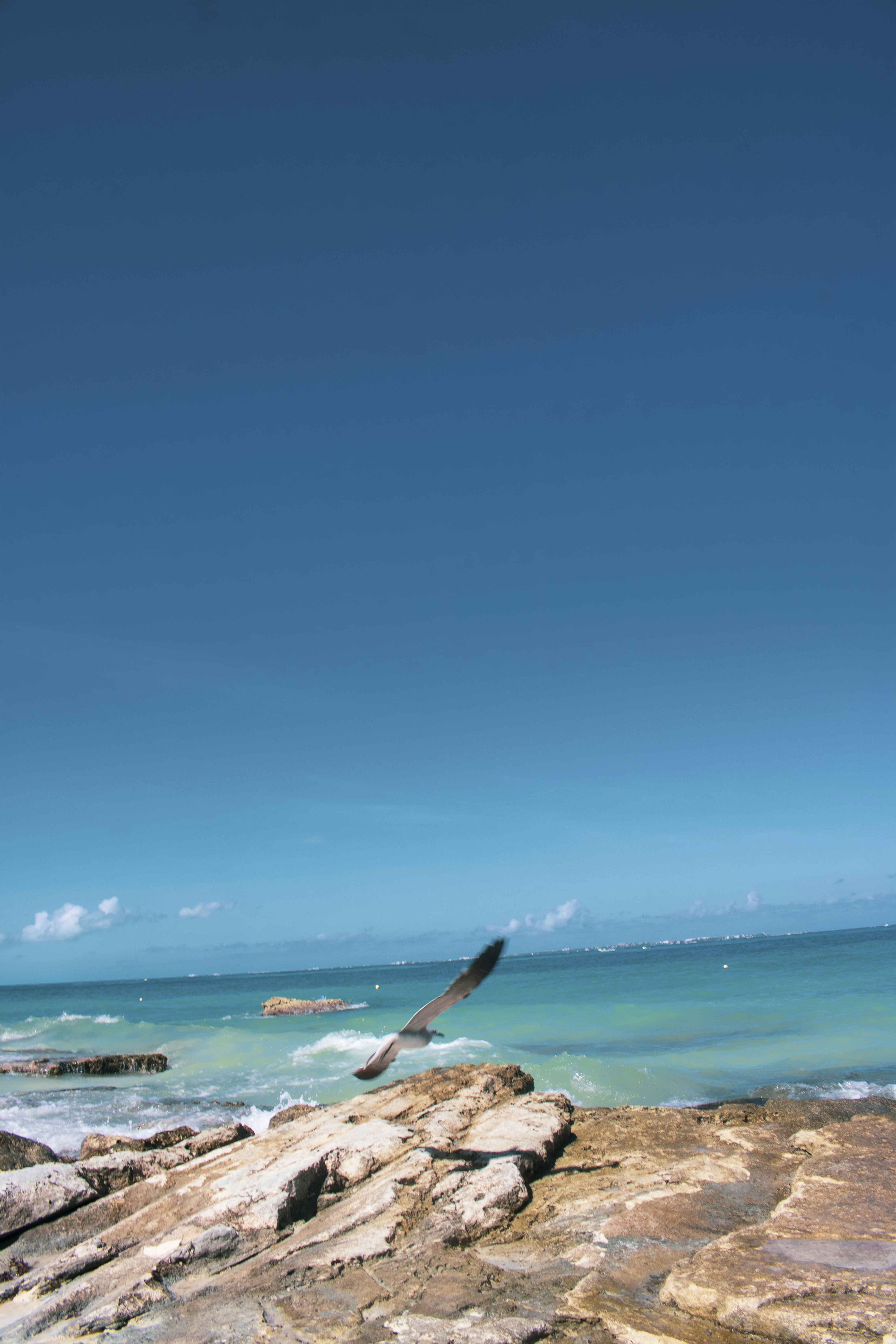 Photo by holawalterlee