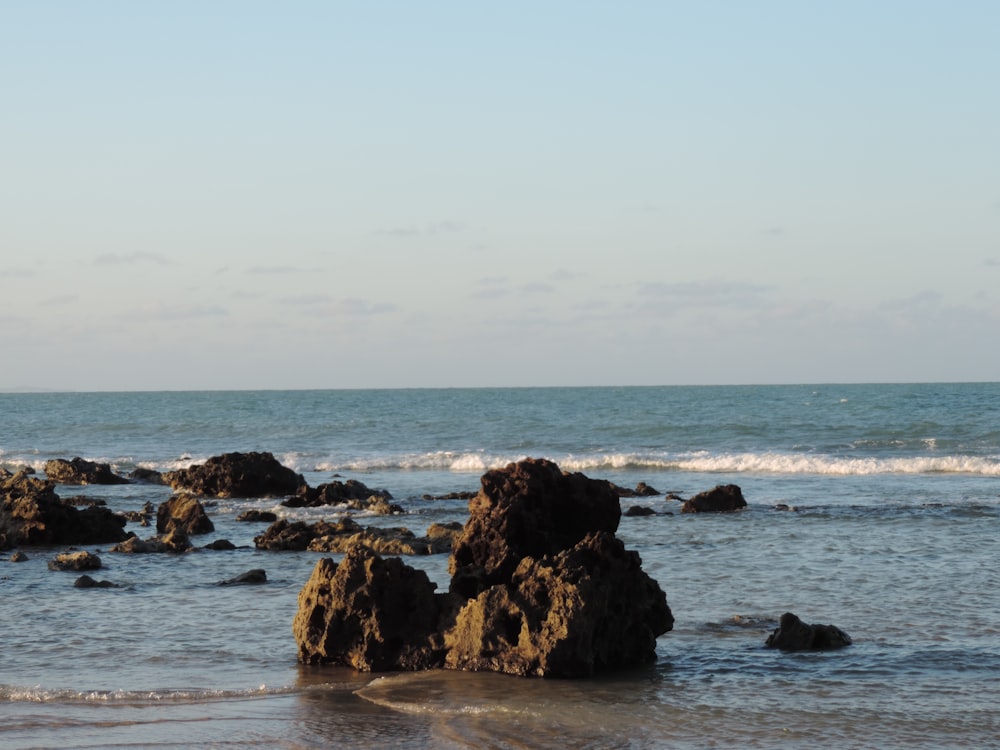 brown rock on beach line