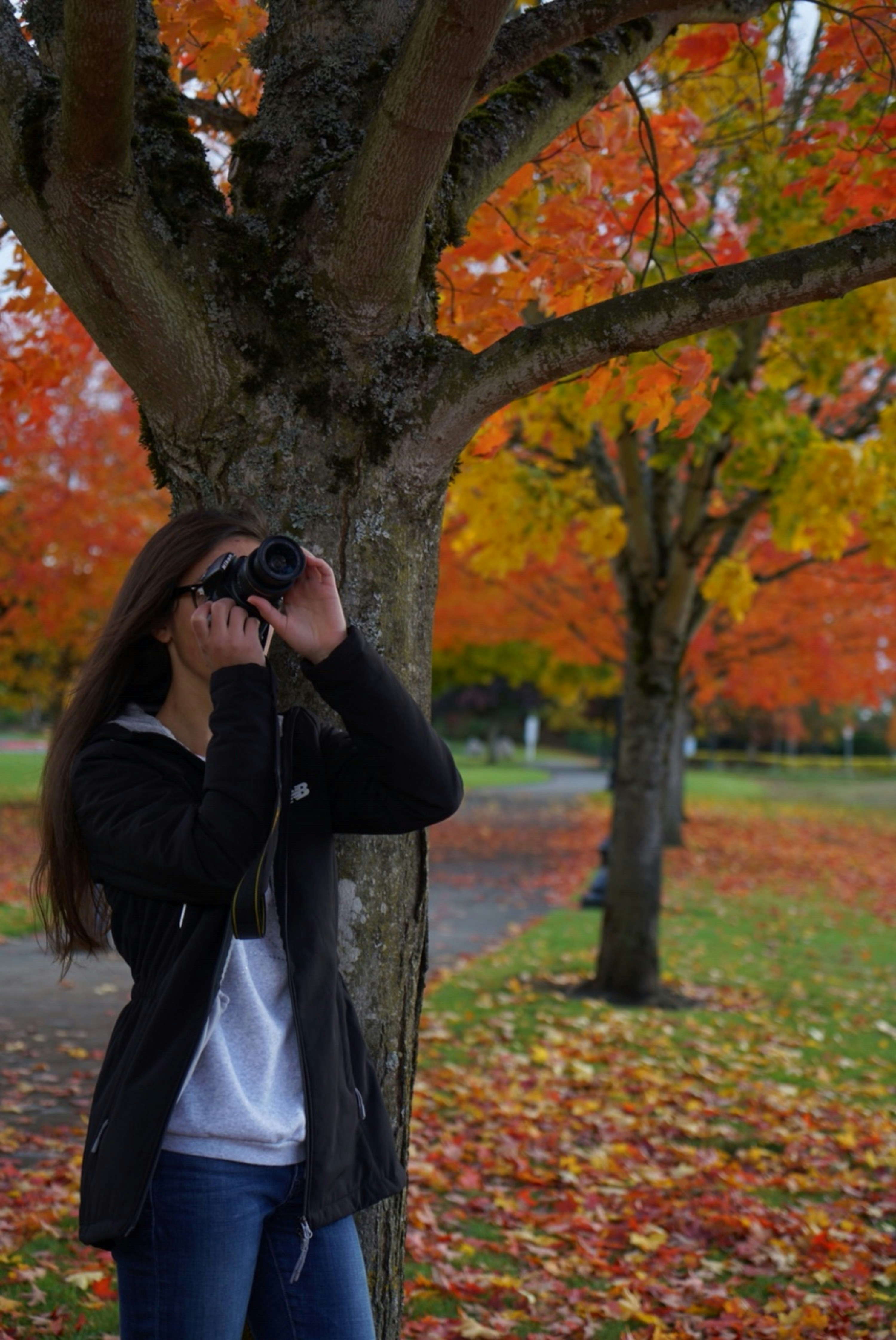 Day 1: Aomori Prefecture - Lake Towada and Oirase Gorge