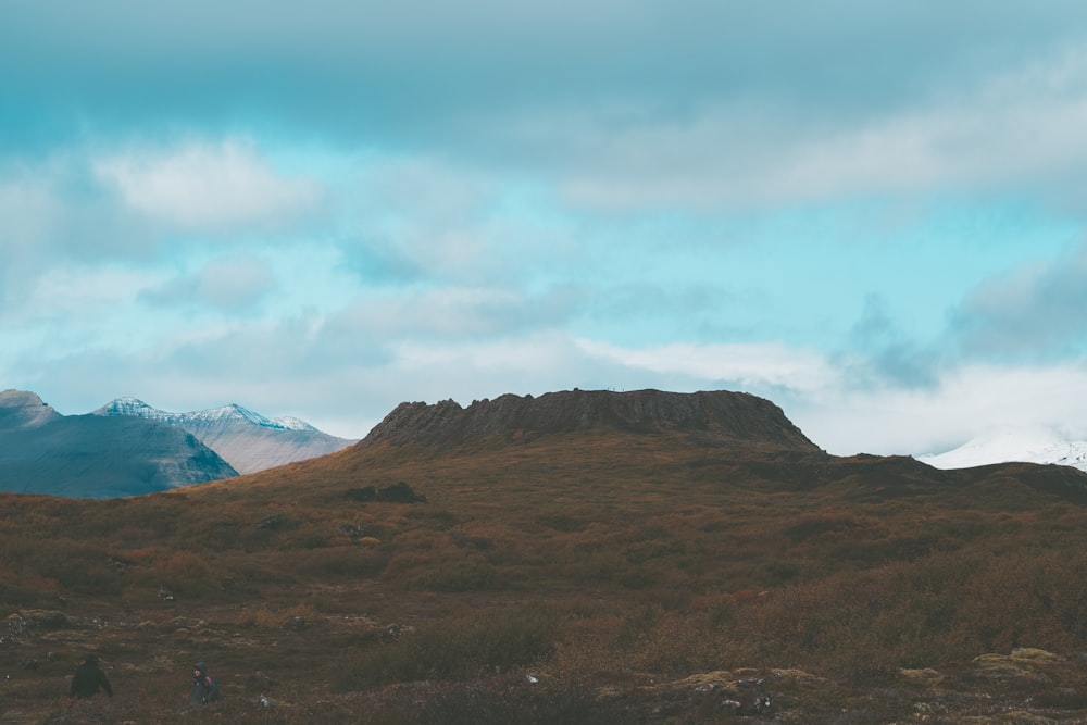 a grassy field with a mountain in the background