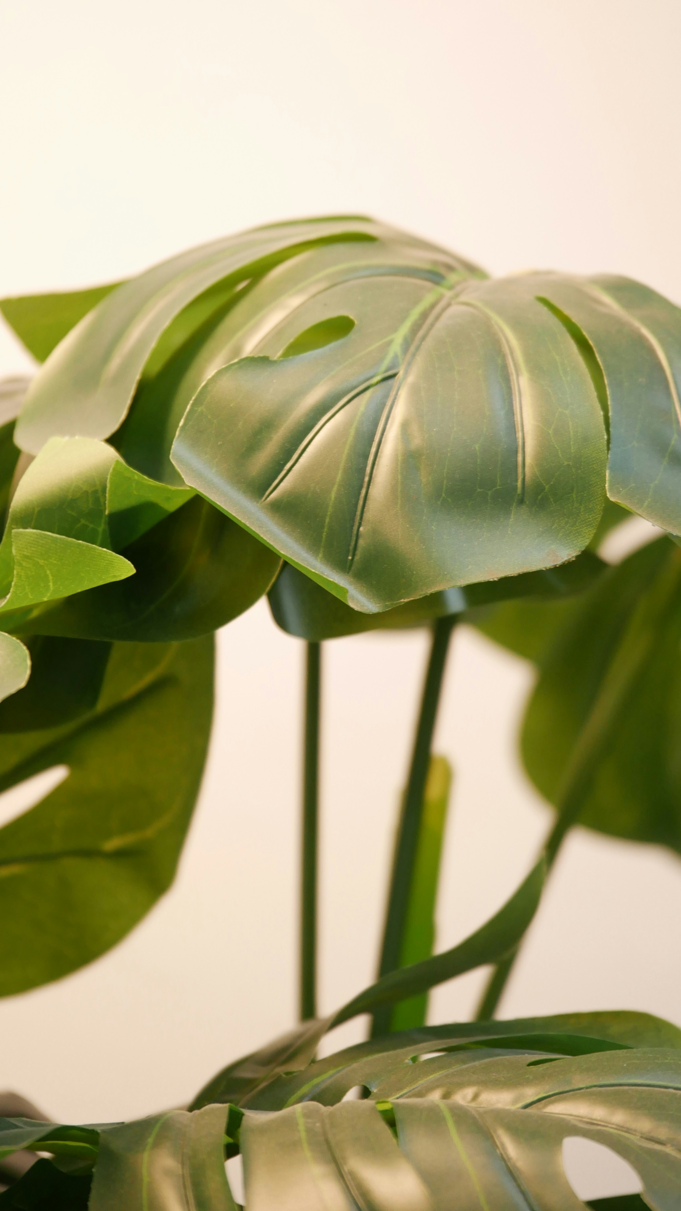 Photo by indonesiabertauhid