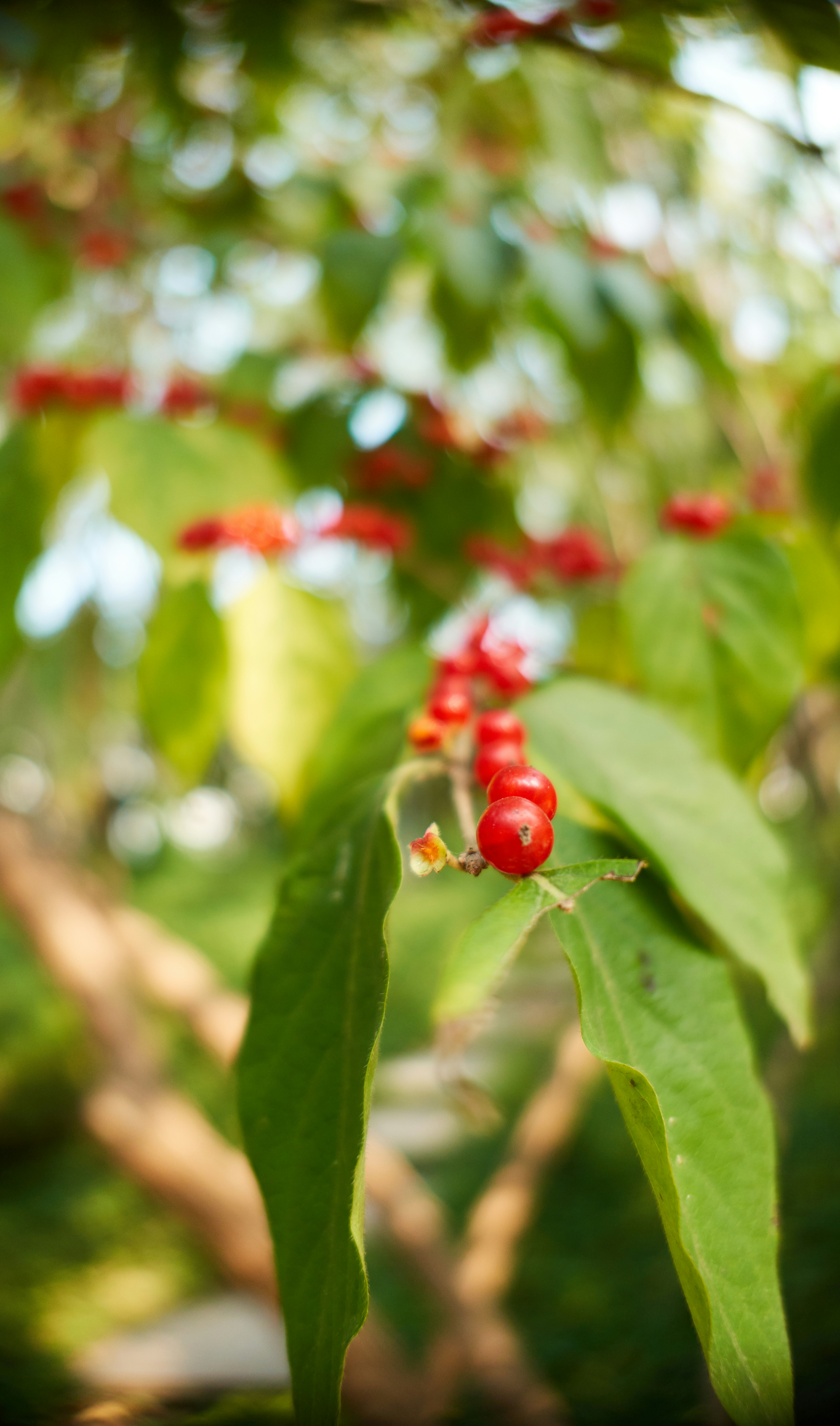 Photo by xiazheng1995