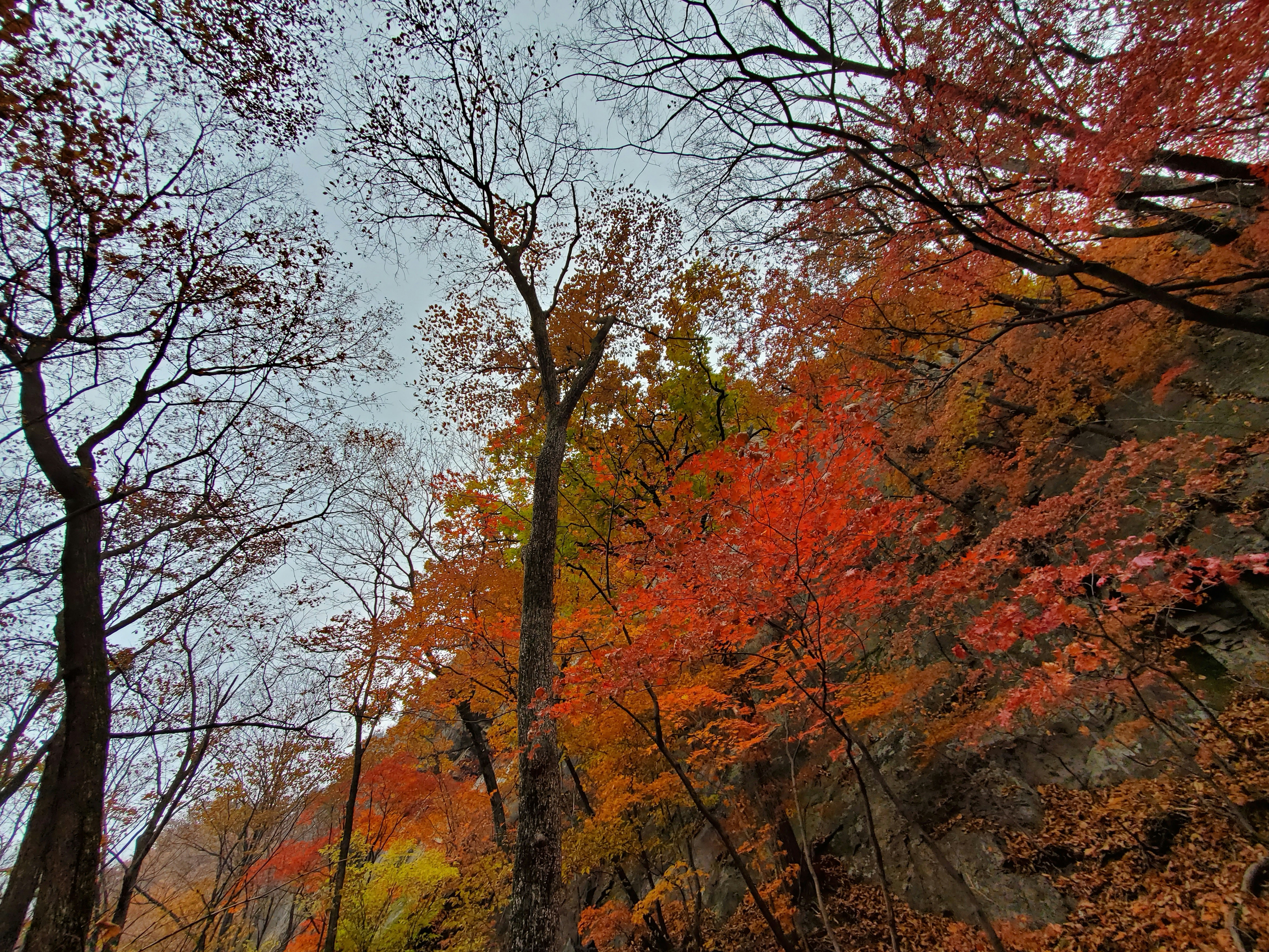 Best hiking trails for fall foliage in Massachusetts
