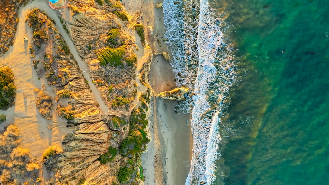 aerial photography of seashore