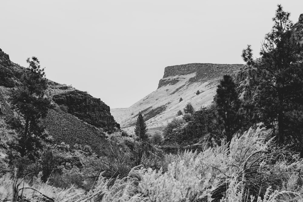 grayscale photography of valley