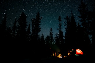 a tent is set up in the woods at night