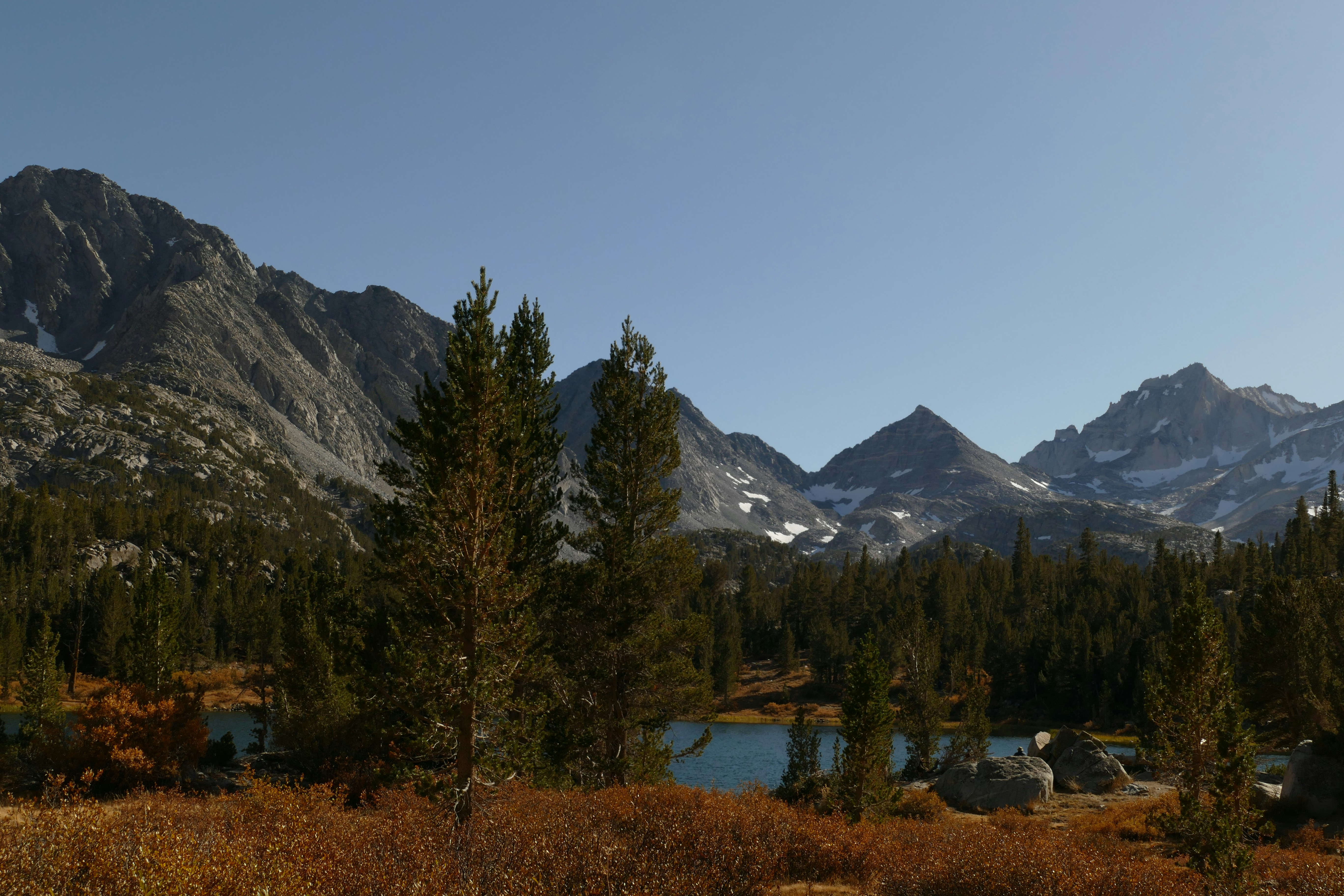 green trees beside calm body of water