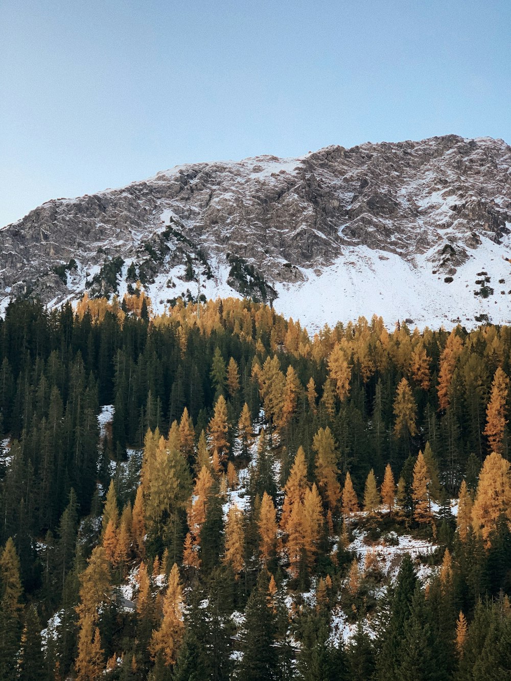 montanha coberta de neve e árvores durante o dia