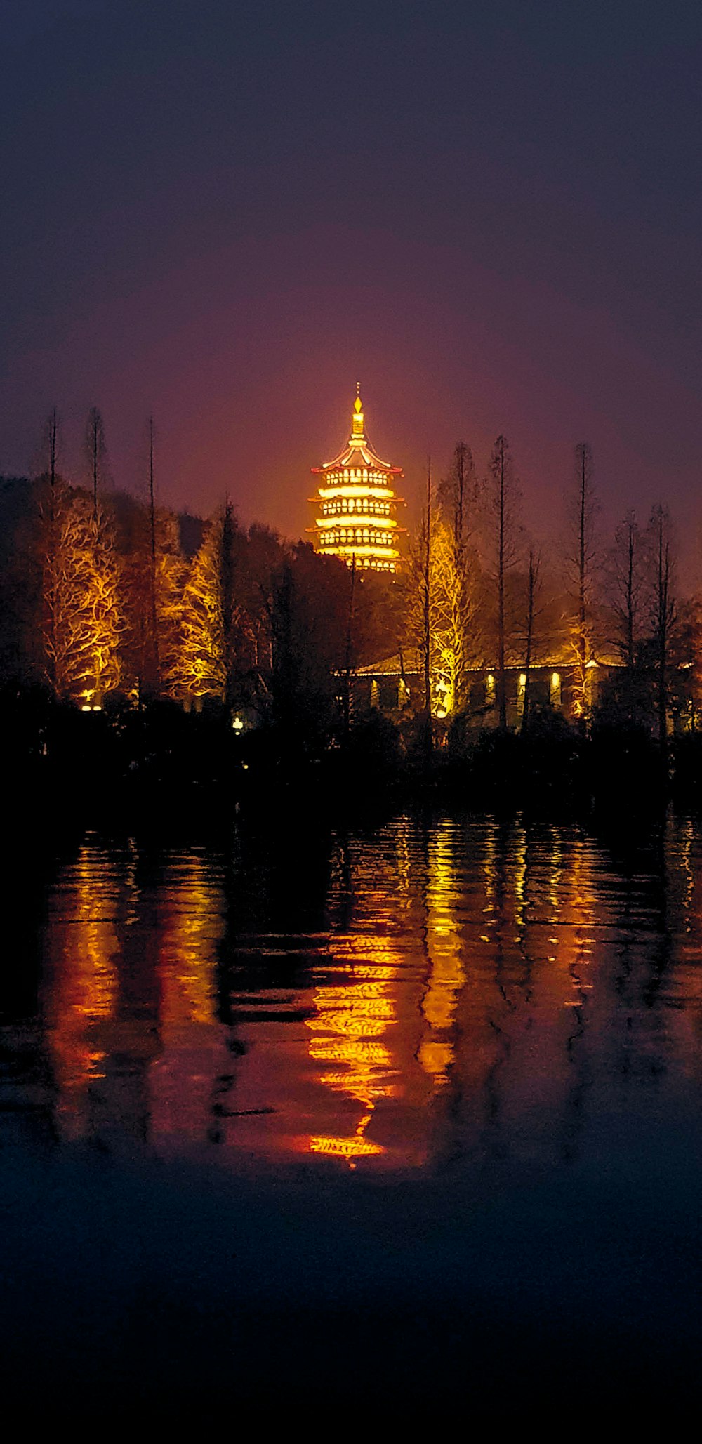 city with high-rise buildings viewing body of water during night time