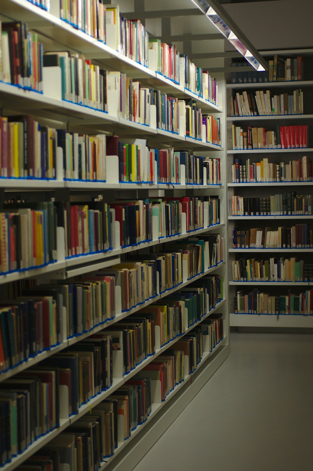 assorted books on shelf