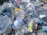 A large pile of crushed and empty plastic bottles with various labels, mixed with other types of plastic containers. The scene suggests clutter and pollution with an abundance of discarded plastic waste.