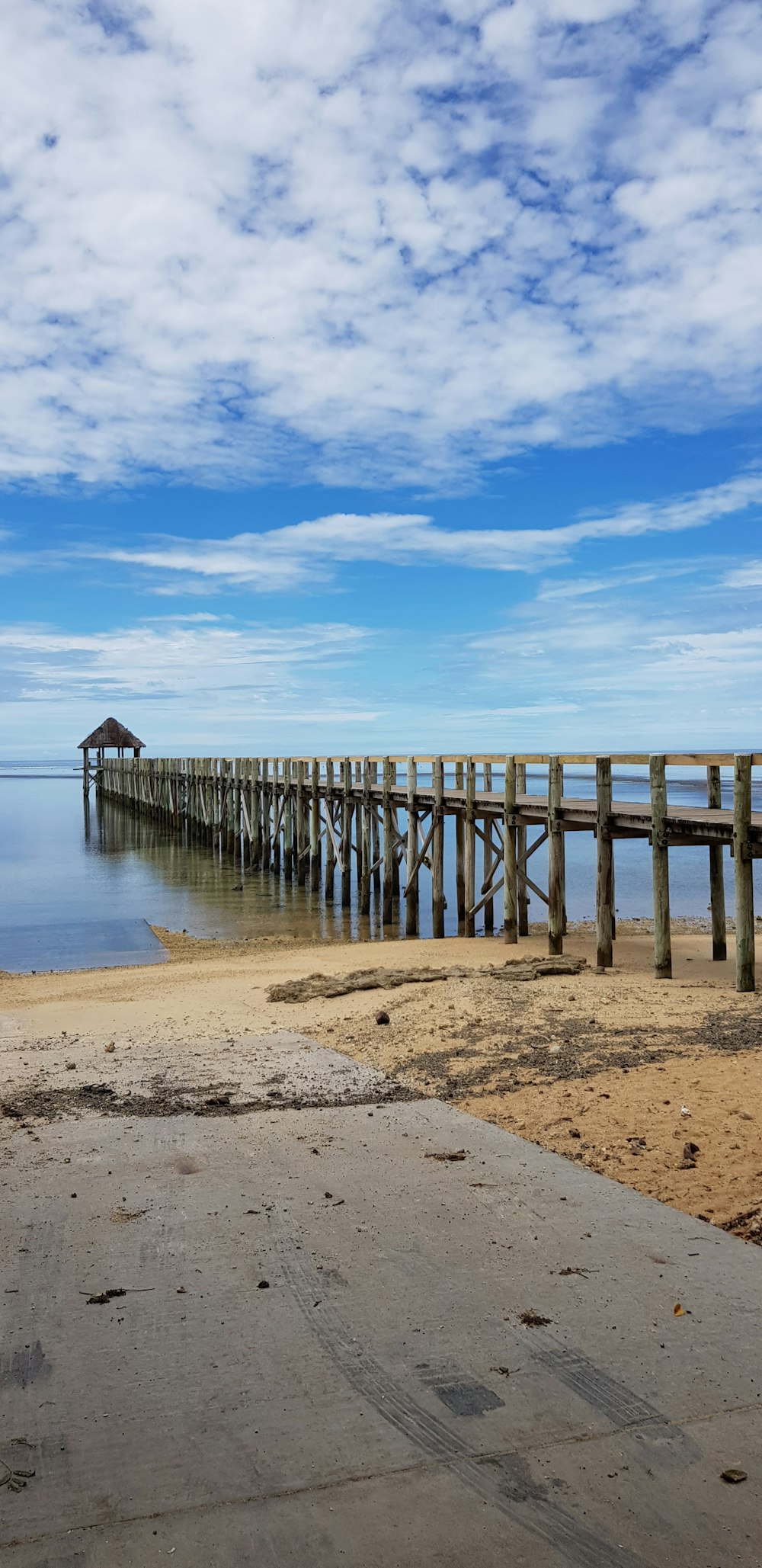 brown boardwalk