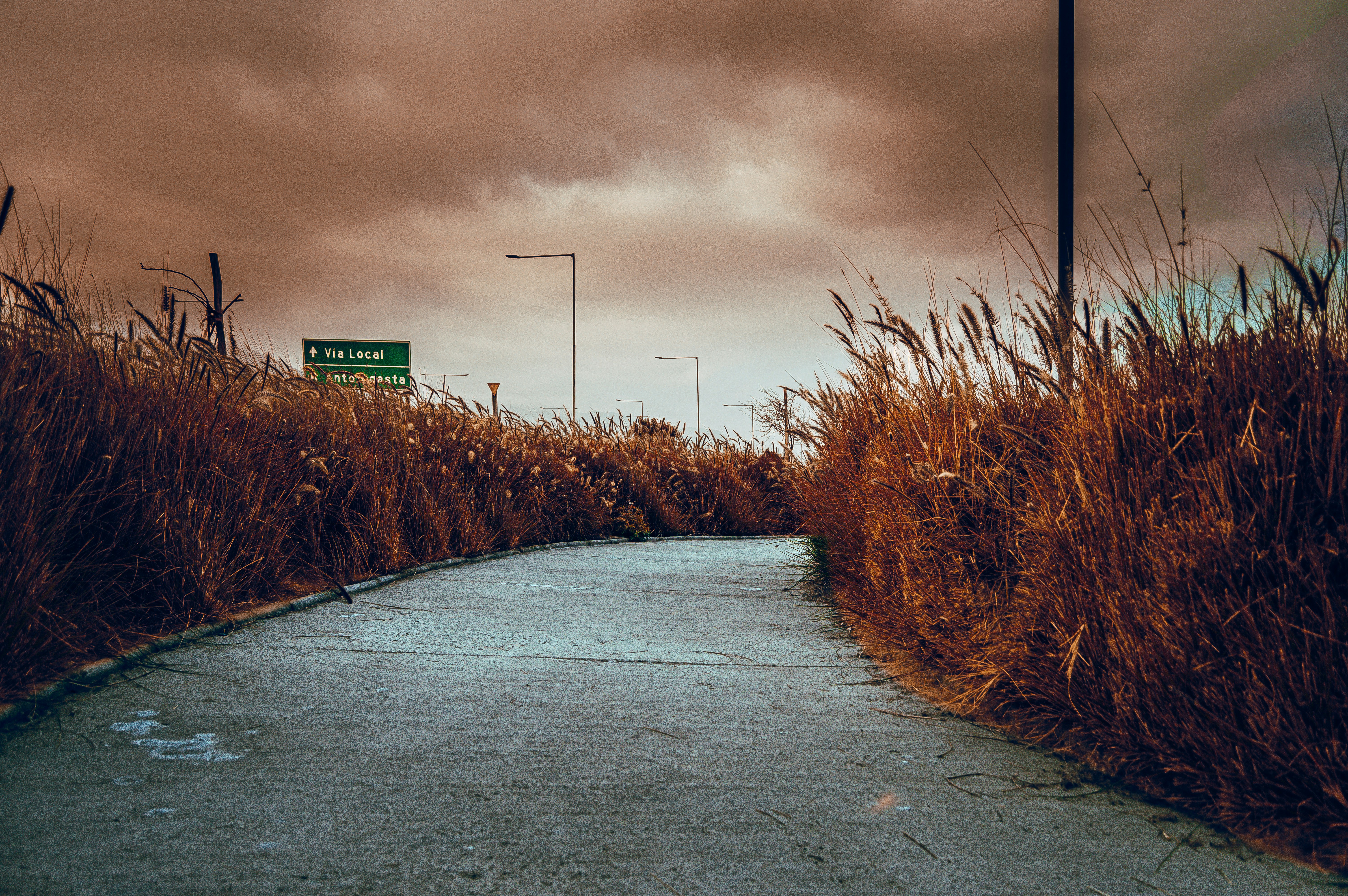 Dark Road