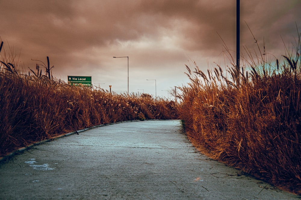 gray asphalt road between brown grass field under gray cloudy sky during daytime