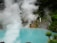A geothermal hot spring pool emits thick steam against a backdrop of lush greenery and rock formations. The water appears bright blue, and the dense vapor creates a mystical atmosphere. A sign with text is visible near the rocky area.