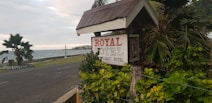 A sign reading 'ROYAL HOTEL, Your Budget Hotel' is surrounded by lush green foliage. The sign is positioned next to a coastal road, with the ocean visible in the background. Palm trees are present, and the scene is set against a cloudy sky.
