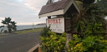 A sign reading 'ROYAL HOTEL, Your Budget Hotel' is surrounded by lush green foliage. The sign is positioned next to a coastal road, with the ocean visible in the background. Palm trees are present, and the scene is set against a cloudy sky.
