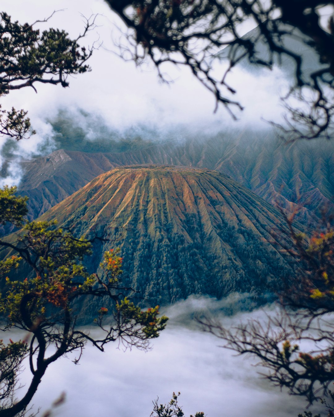 Mountain photo spot Mount Bromo Bromo Tengger Semeru National Park