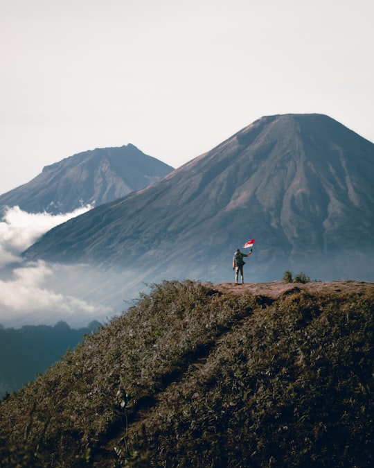 person standing on cliff viewing mountain during daytime in Gunung Prau Indonesia