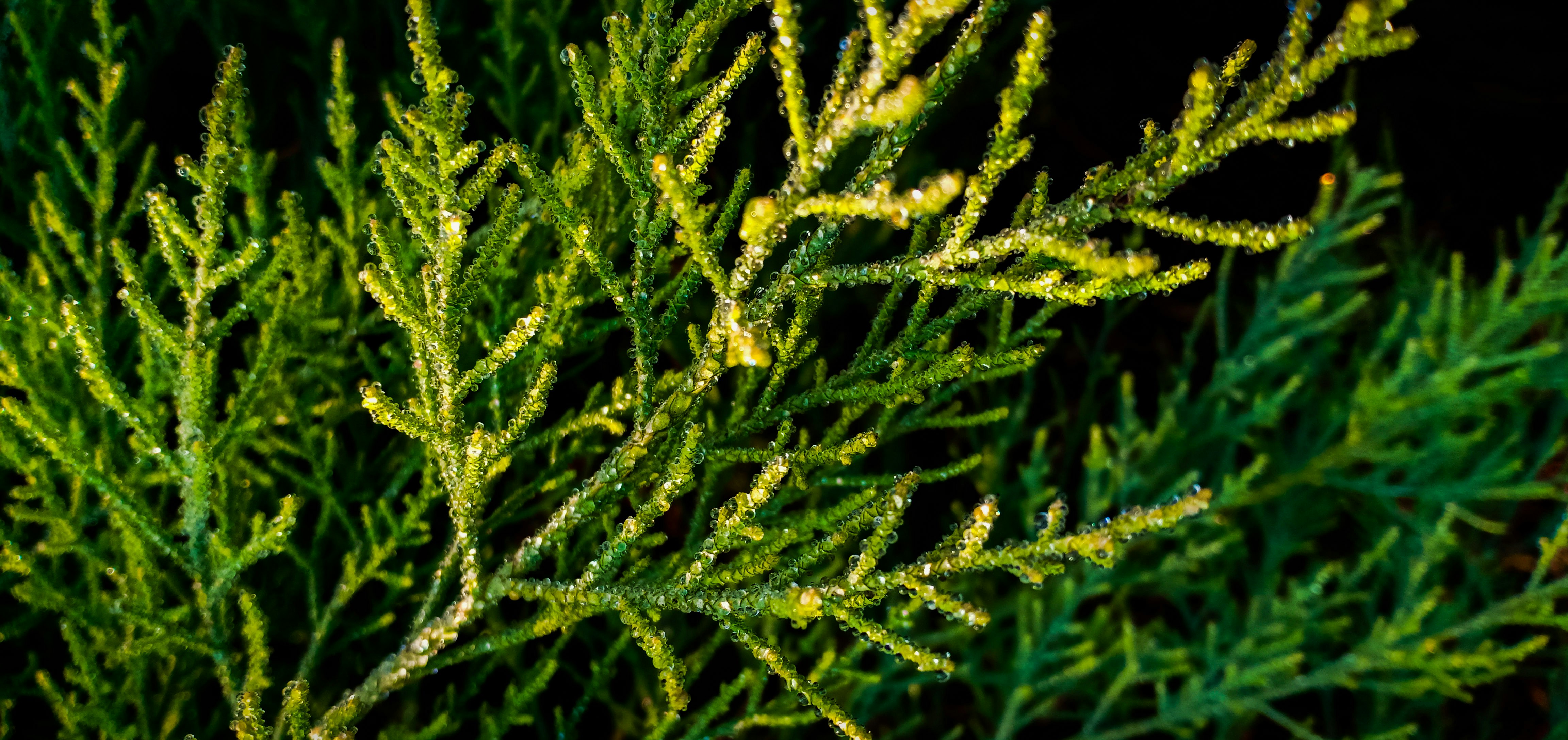 Photo by phillippatel