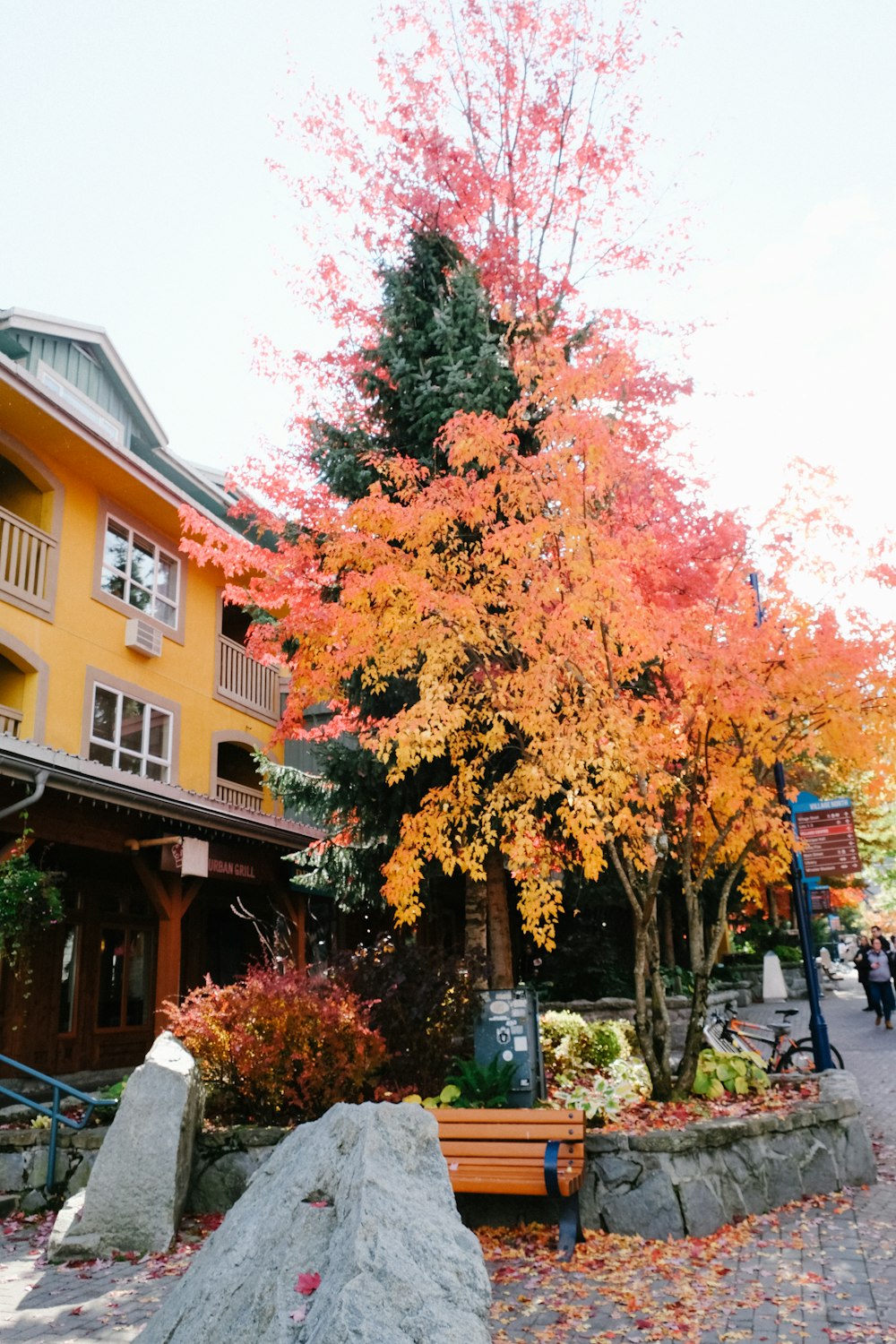 a tree with red leaves in front of a yellow building
