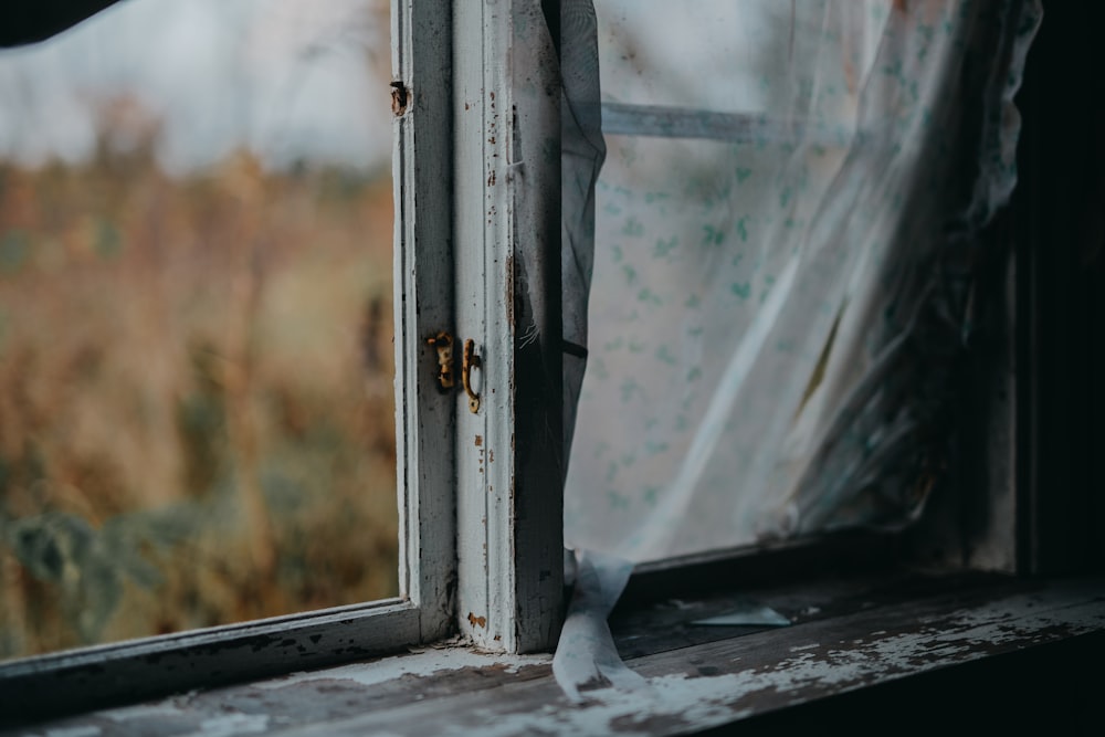 white framed window pane