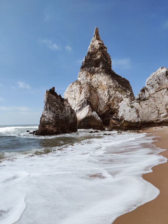 photo of Praia da Rocha Coast near Algarve