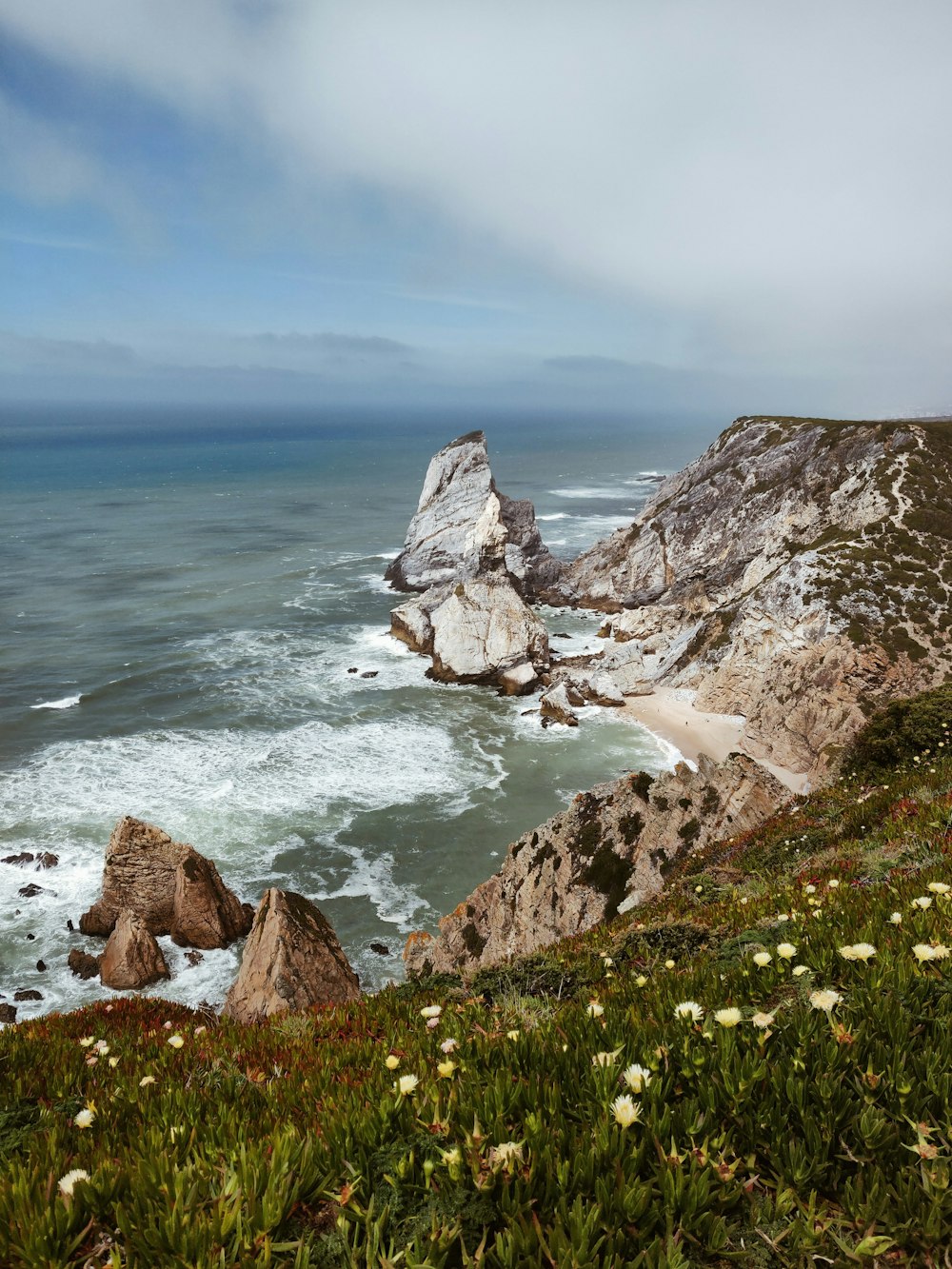 green grass with white flowers on hill near body of water