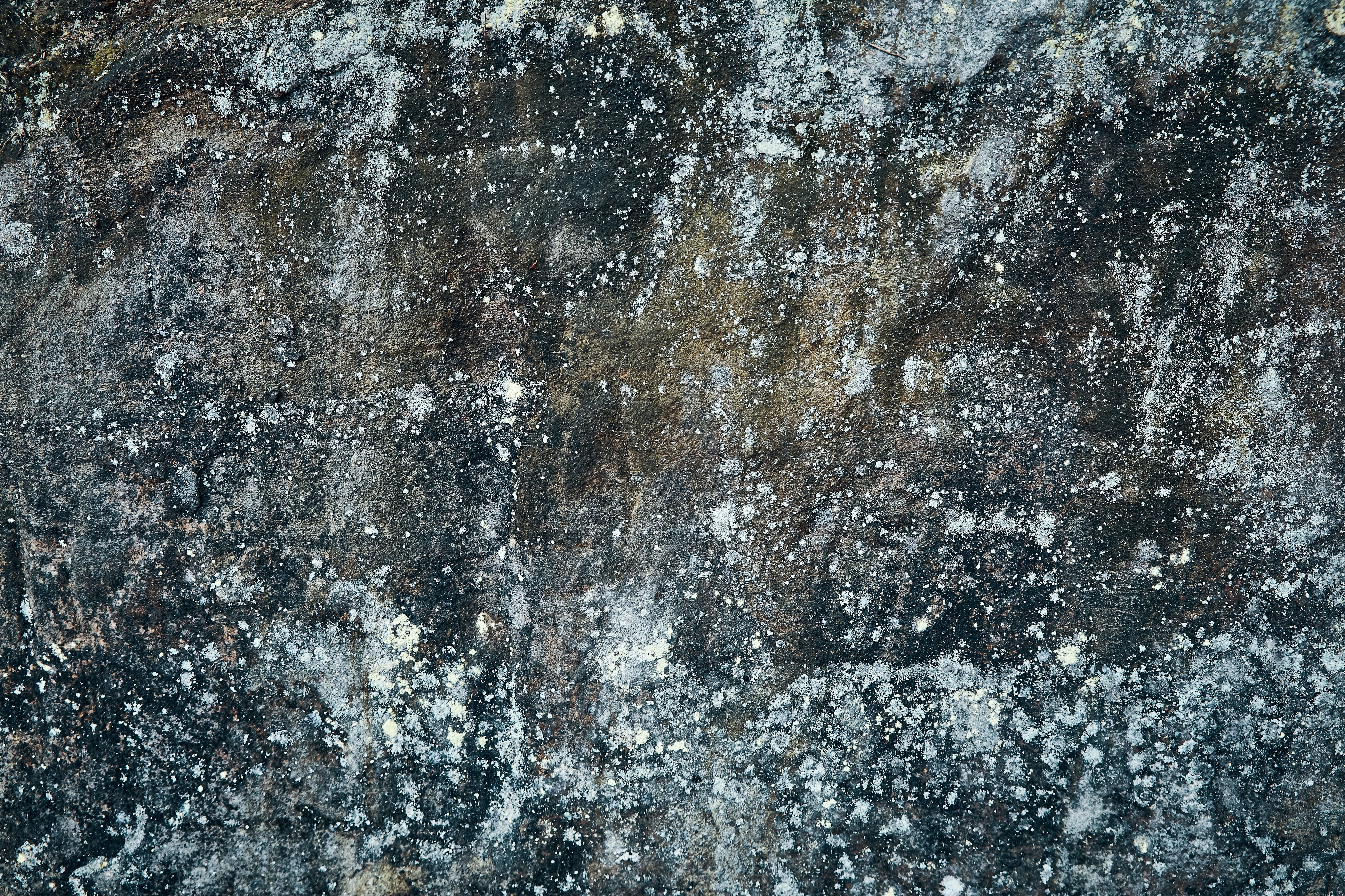 Photo by michaeloeser