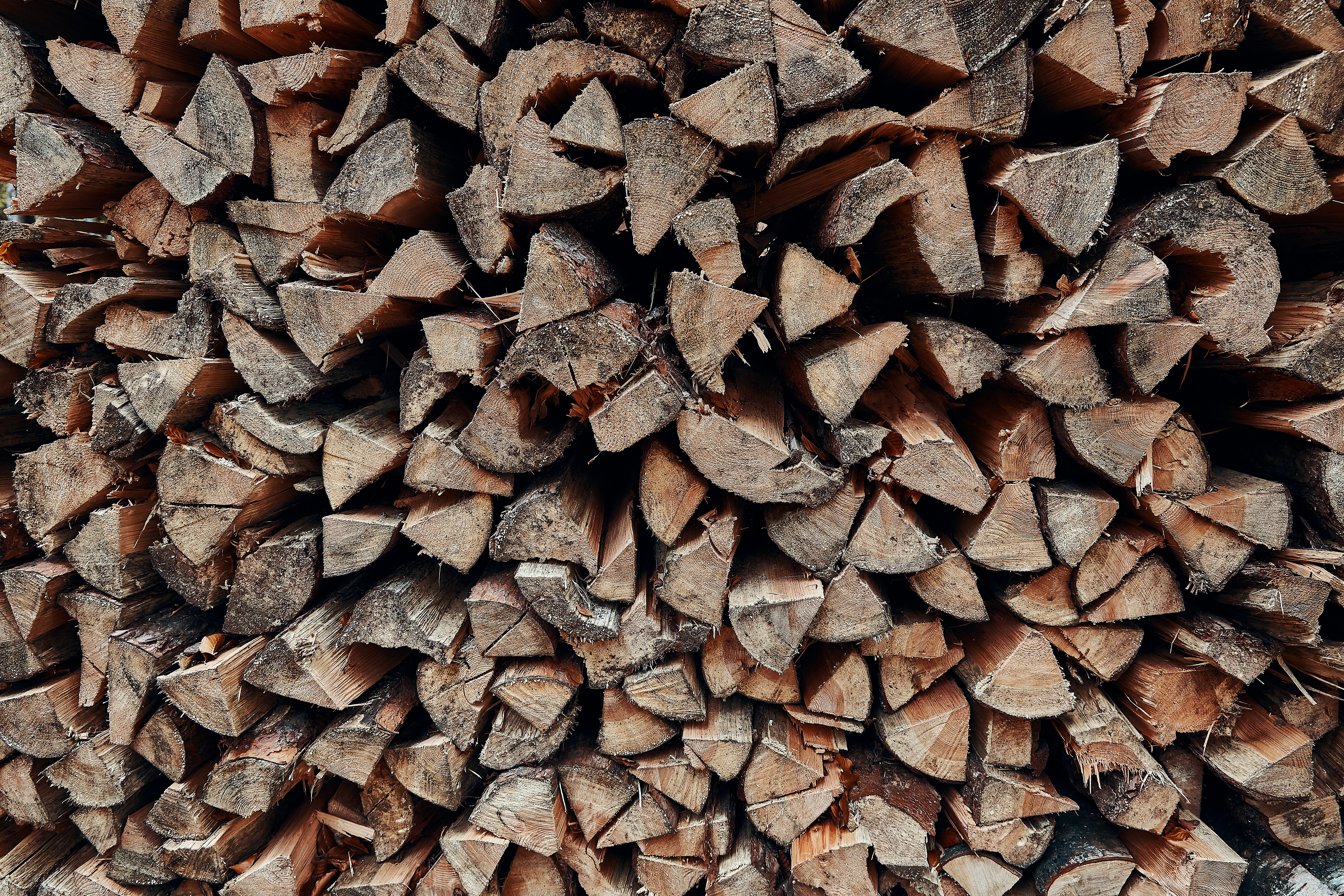 Photo by michaeloeser