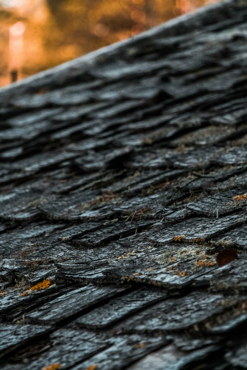 black and brown wooden board