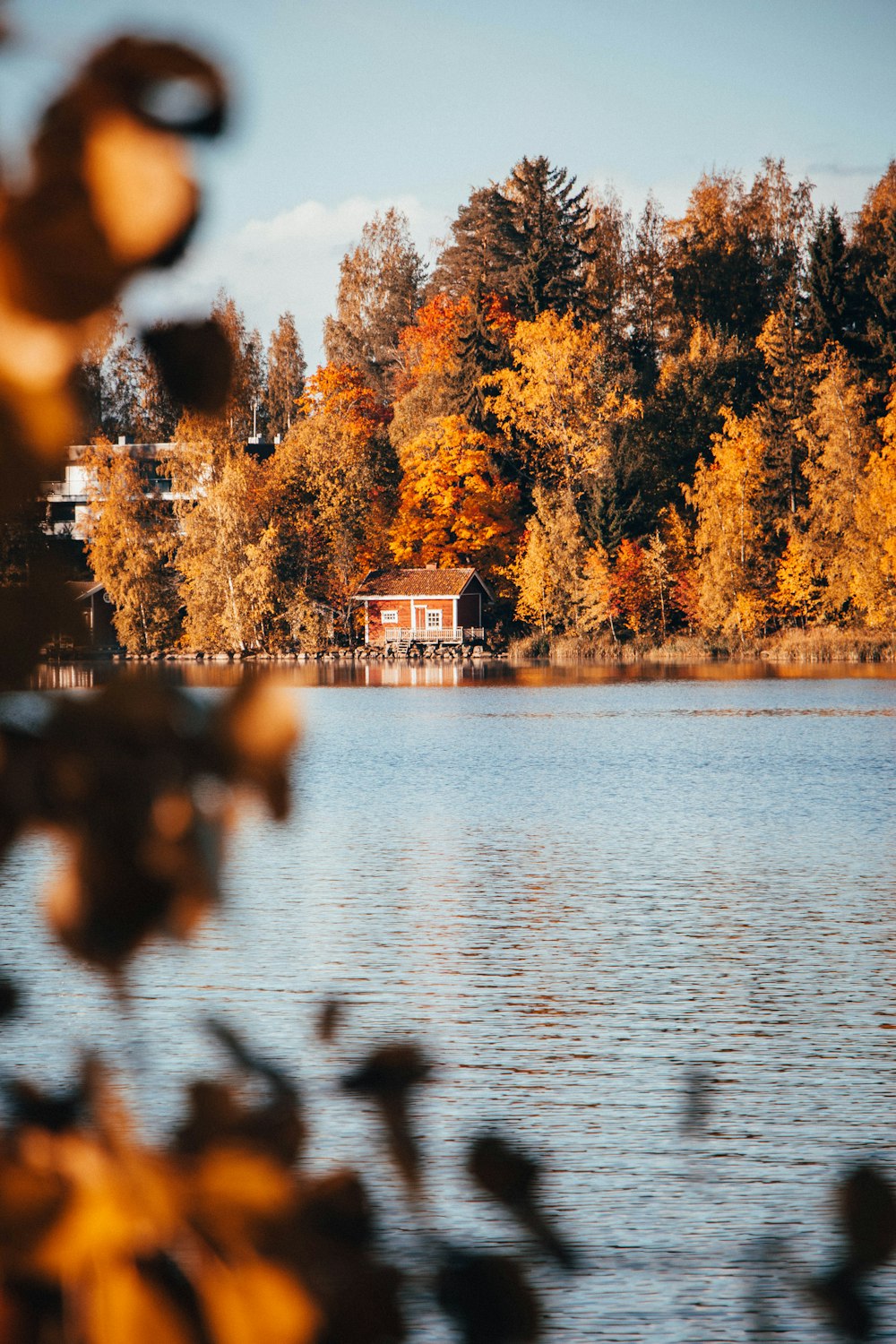 Maison au bord du lac entourée d’arbres sous un ciel bleu pendant la journée