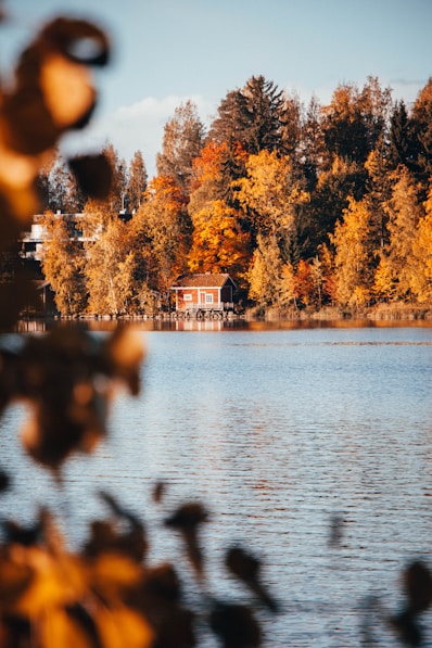 house by lake surrounded with trees under blue skies during daytime
