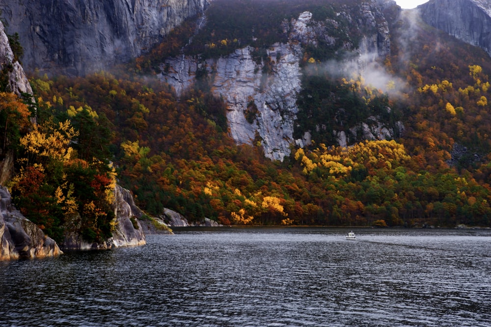 body of water and trees