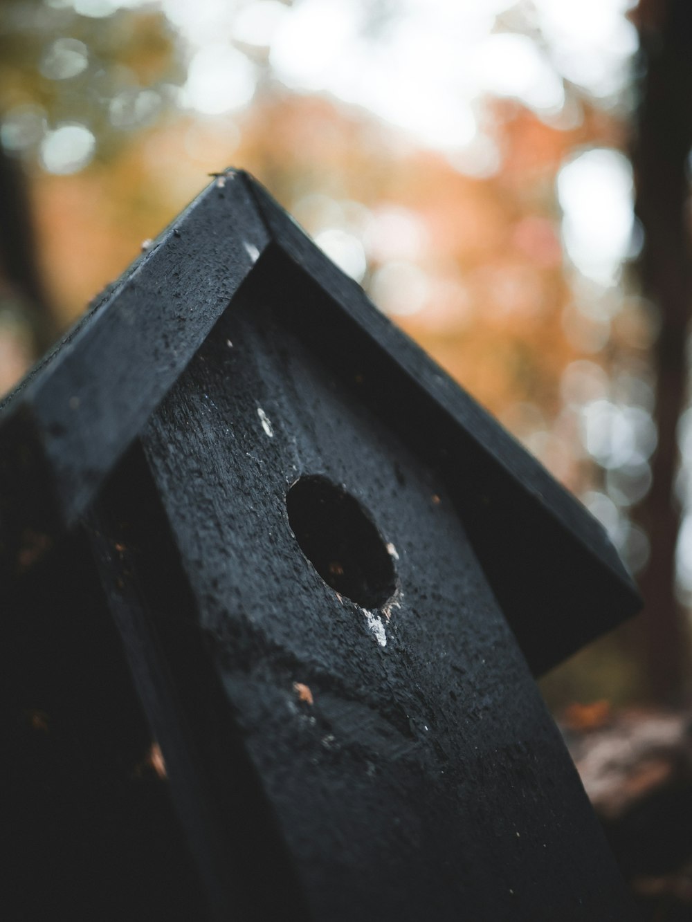 black and gray wooden bird house