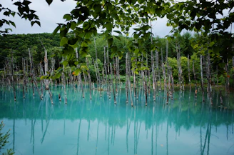 green and blue trees painting