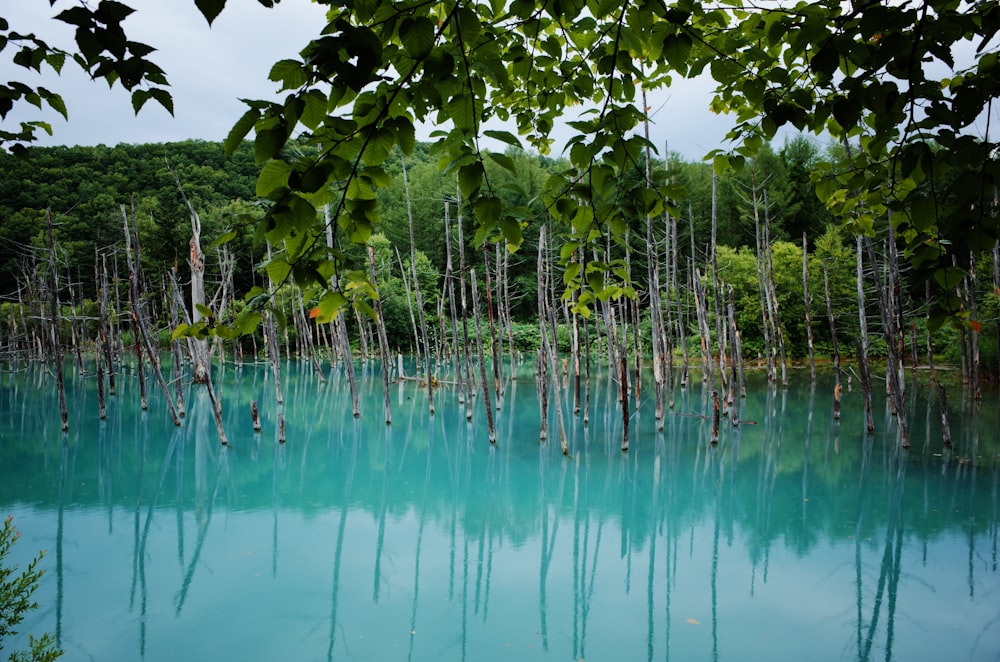 green and blue trees painting