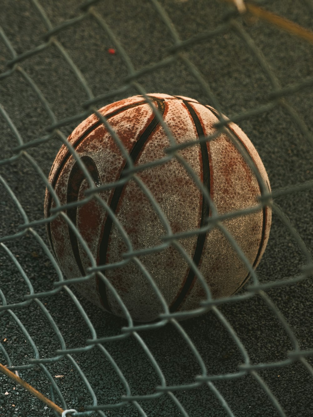 brown and black basketball with autograph
