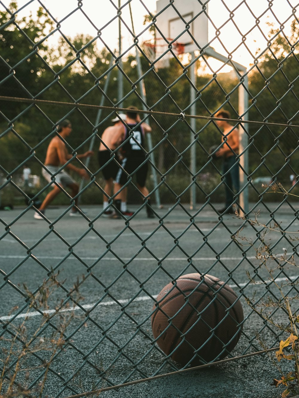 brown and black basketball hoop