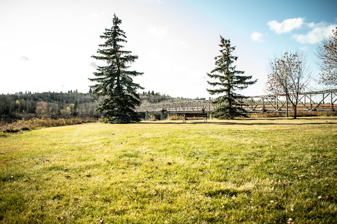 travelers stories about Nature reserve in Rundle Park Road Northwest, Canada