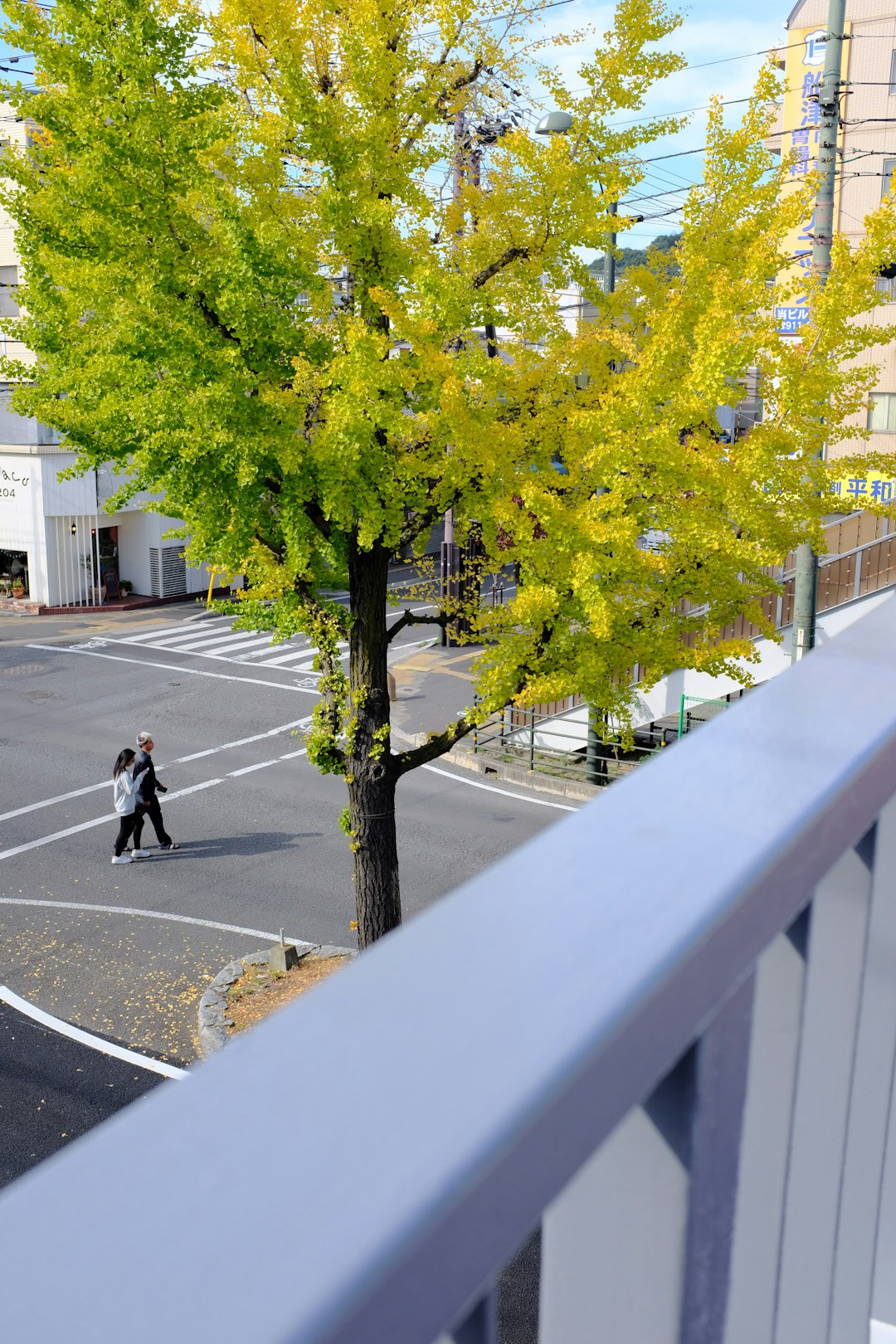 white and yellow concrete building