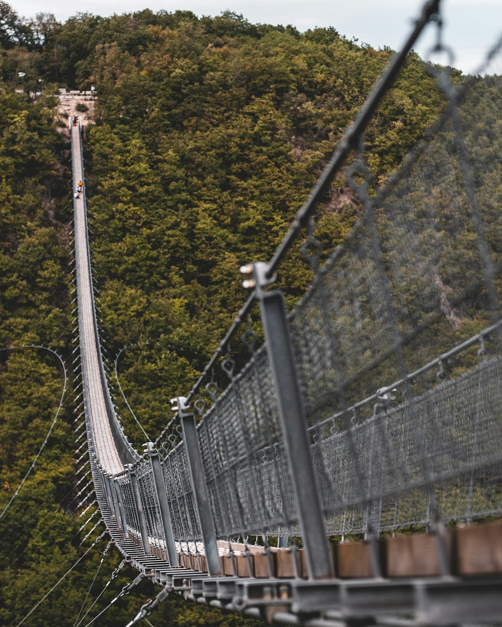 Puente azul y blanco