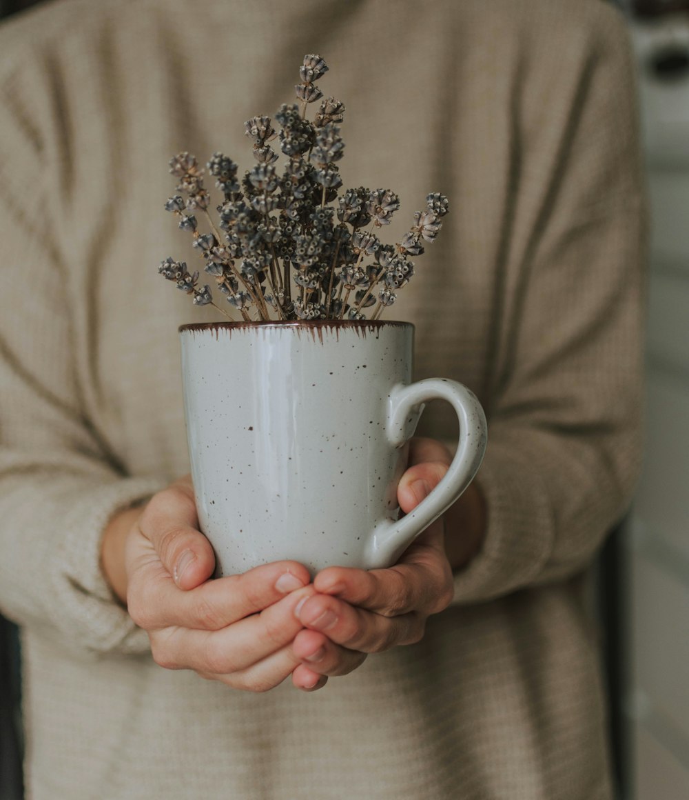 gray plant in white ceramic mug