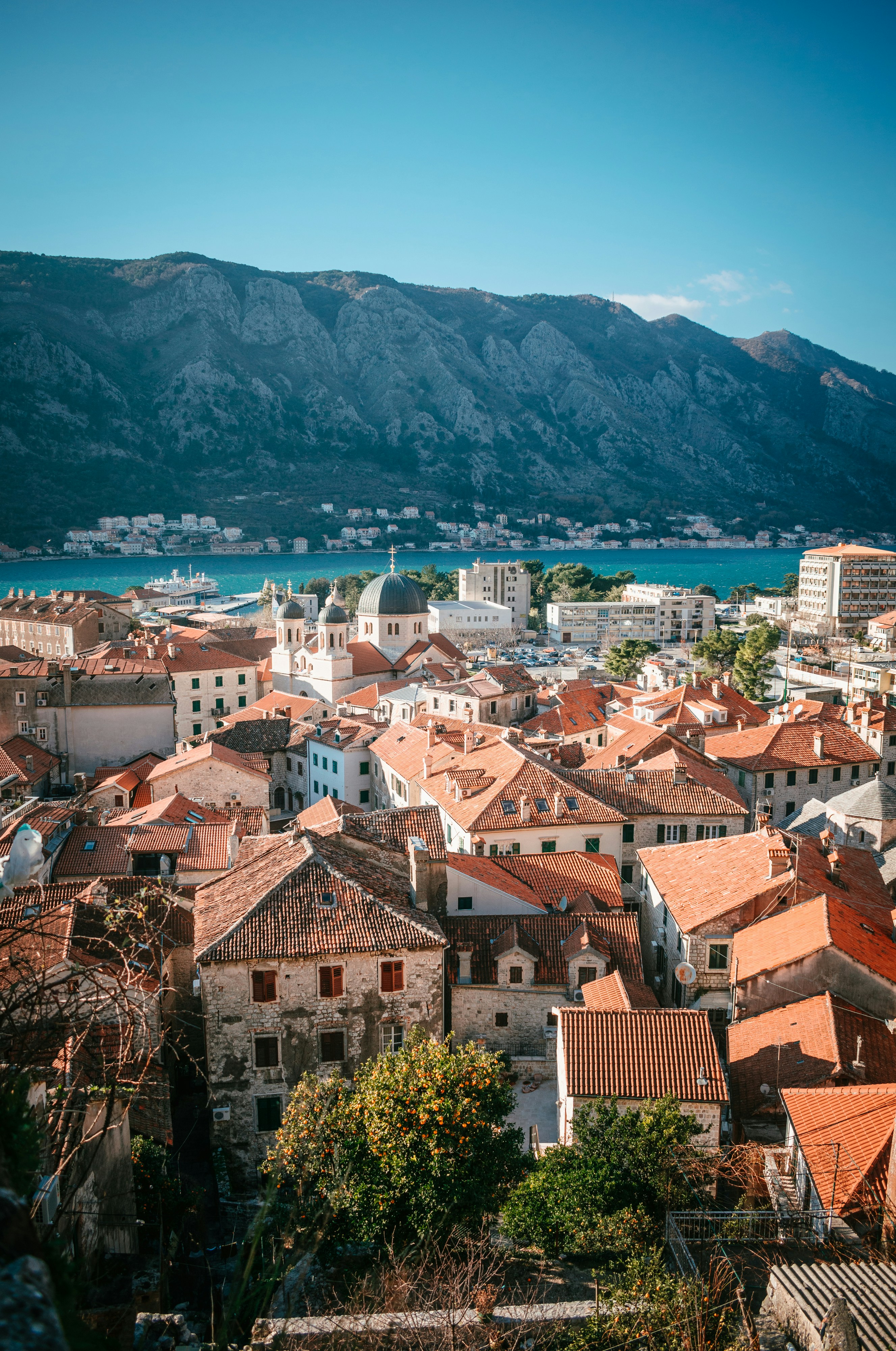 Photo by vitaly_mitrofanenko