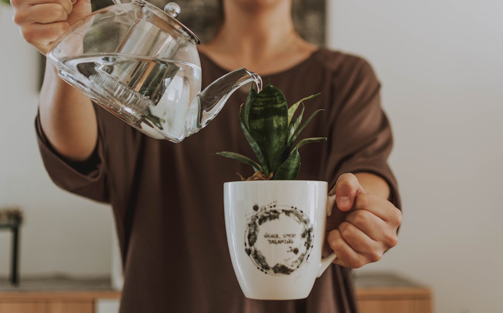 woman pouring water on plant while holding pot